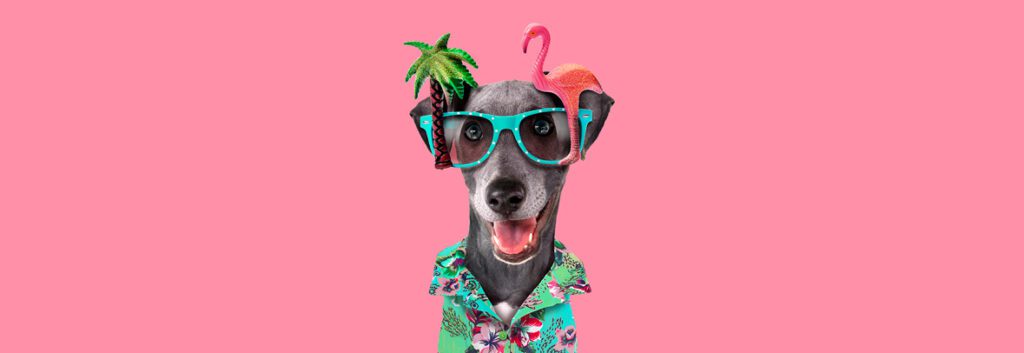 Bright horizons: exploring opportunities in florida