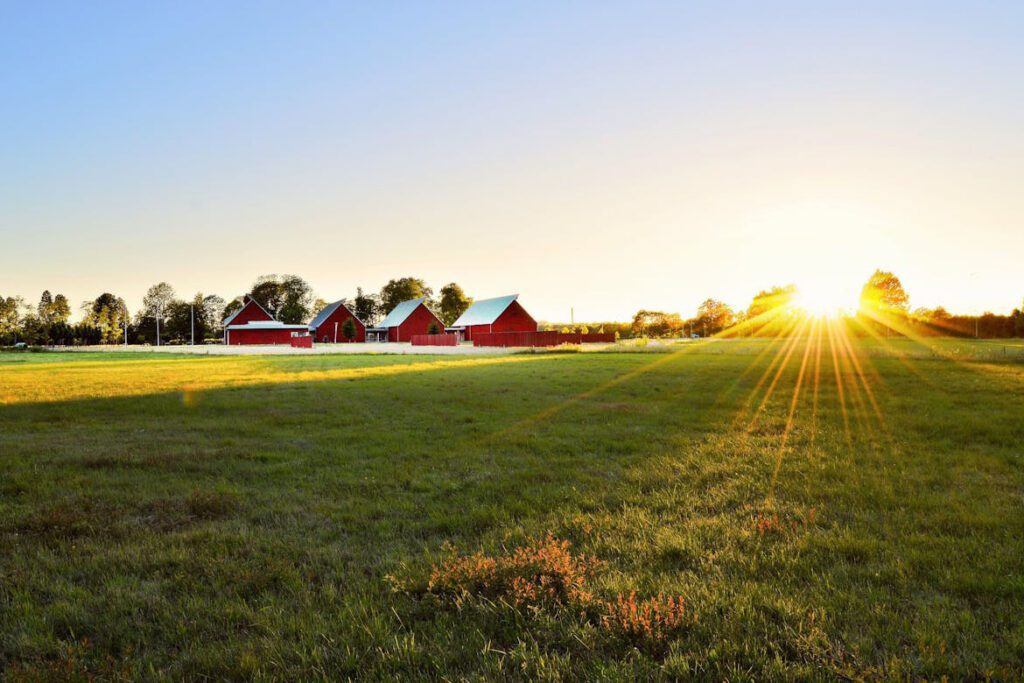 Boosting farm property values through agritourism in florida