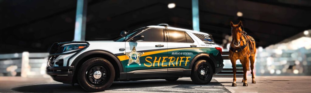 Community spotlight: hooved heroes in law enforcement