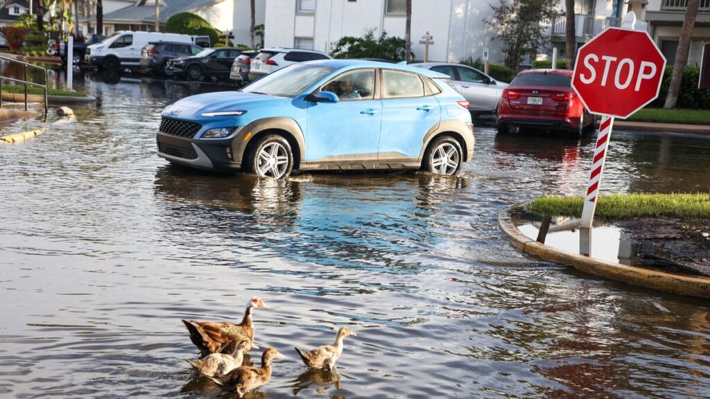 Hillsborough renters face flooding crisis after hurricane debby