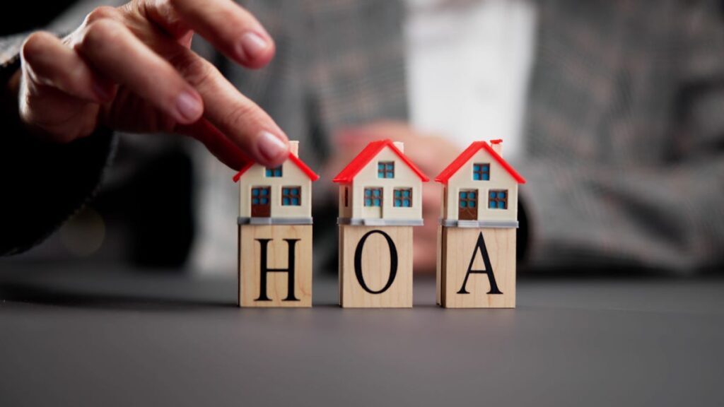 Navigating assessments and owner rights