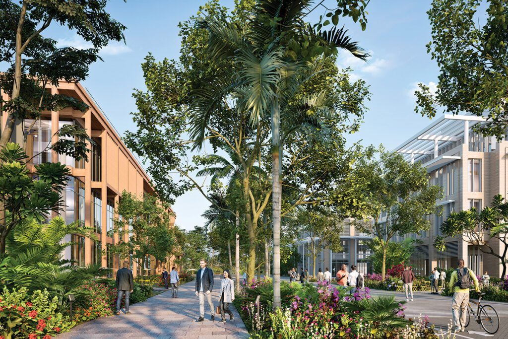 West palm oasis: discovering vanderbilt's hidden gem