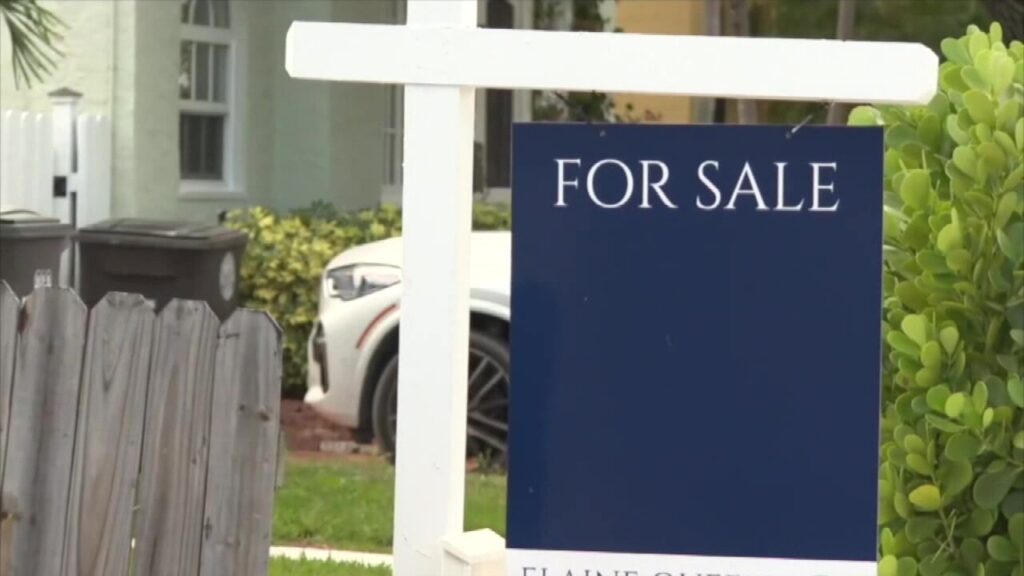 Essential tips for buyers assessing hurricane damaged homes