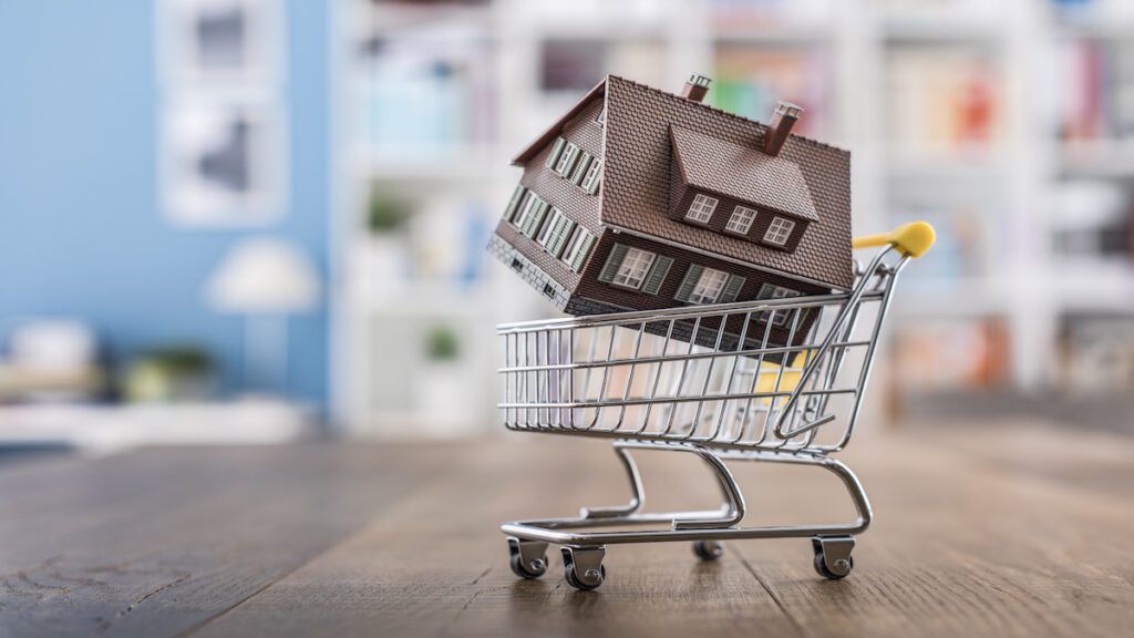 Florida faces decline in investor home purchases