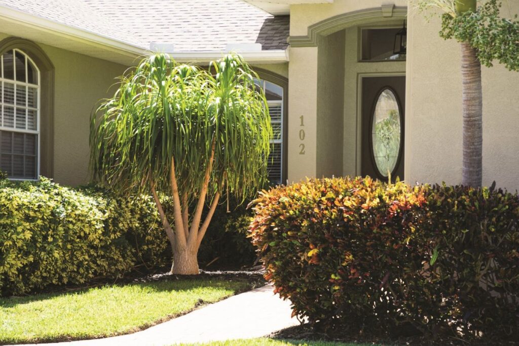 Ocala home prices remain stable in june