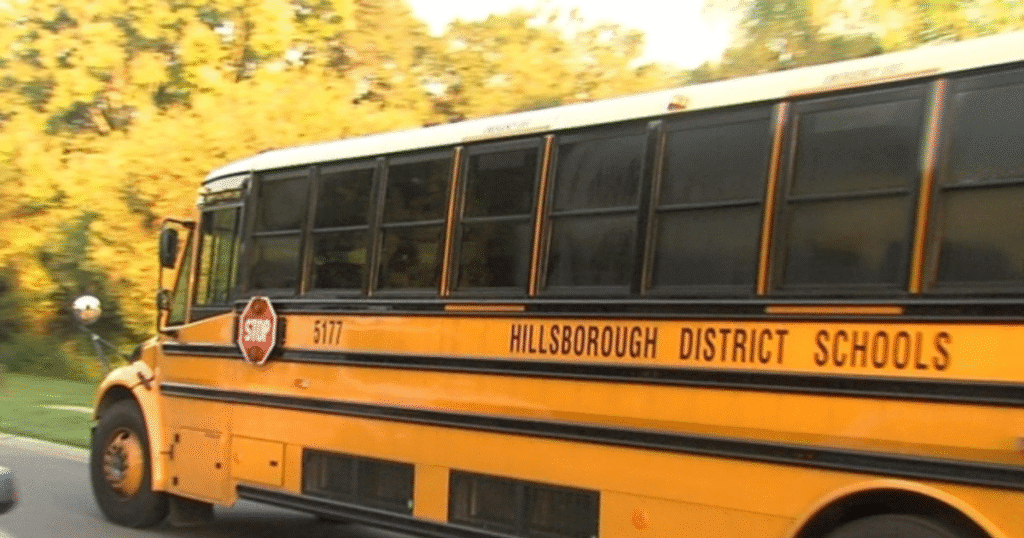 Voter insights on hillsborough county school board millage referendum