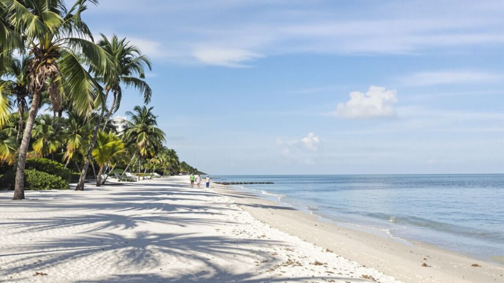 Florida coastline with palm trees and calm ocean.