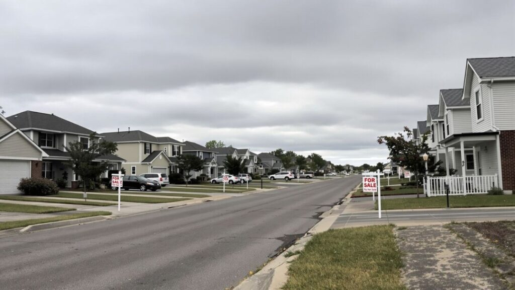 Houses on a quiet street with empty driveways.