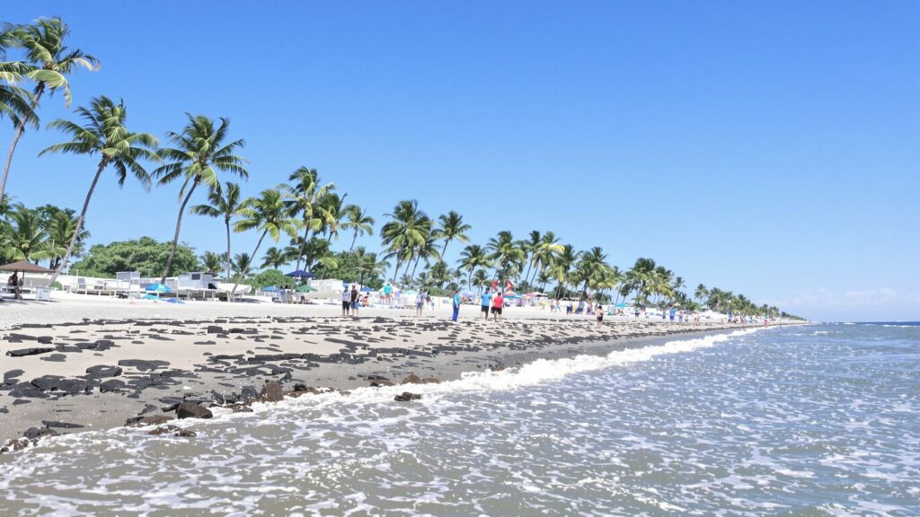 Florida beach with calm waves and palm trees.