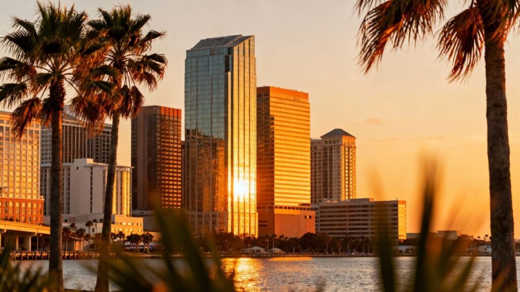 Tampa skyline at sunset with palm trees.