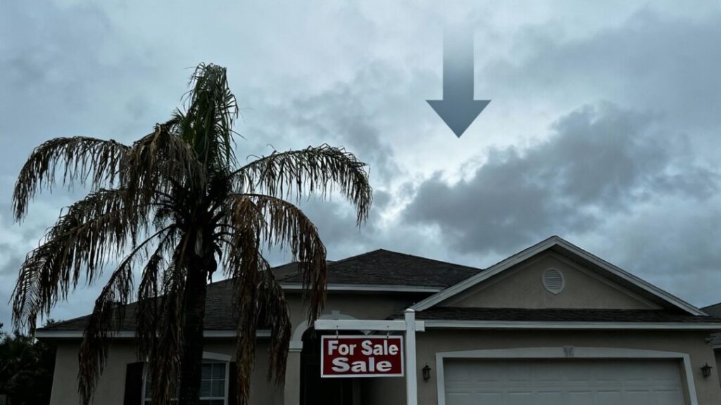 Florida home with wilting palm tree and overcast sky.