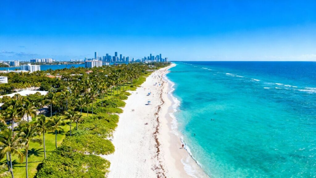 Florida coastline with ocean, beaches, palm trees, and city skylines.