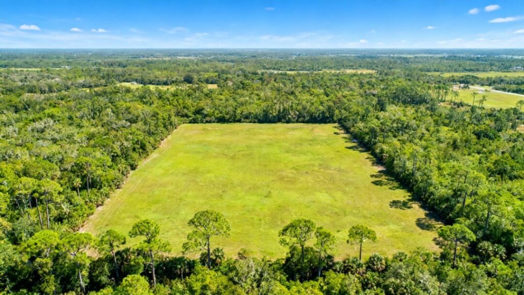 Vast undeveloped land in Florida