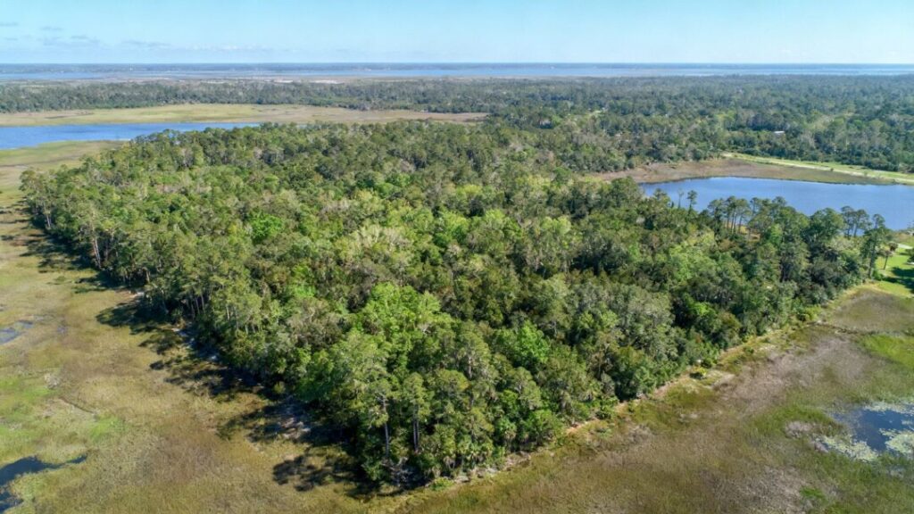 Undeveloped land in St. Augustine with trees and water.